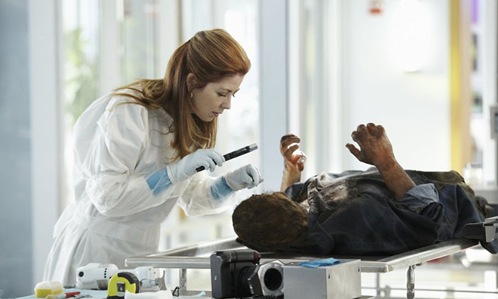 Судмедэксперт-1